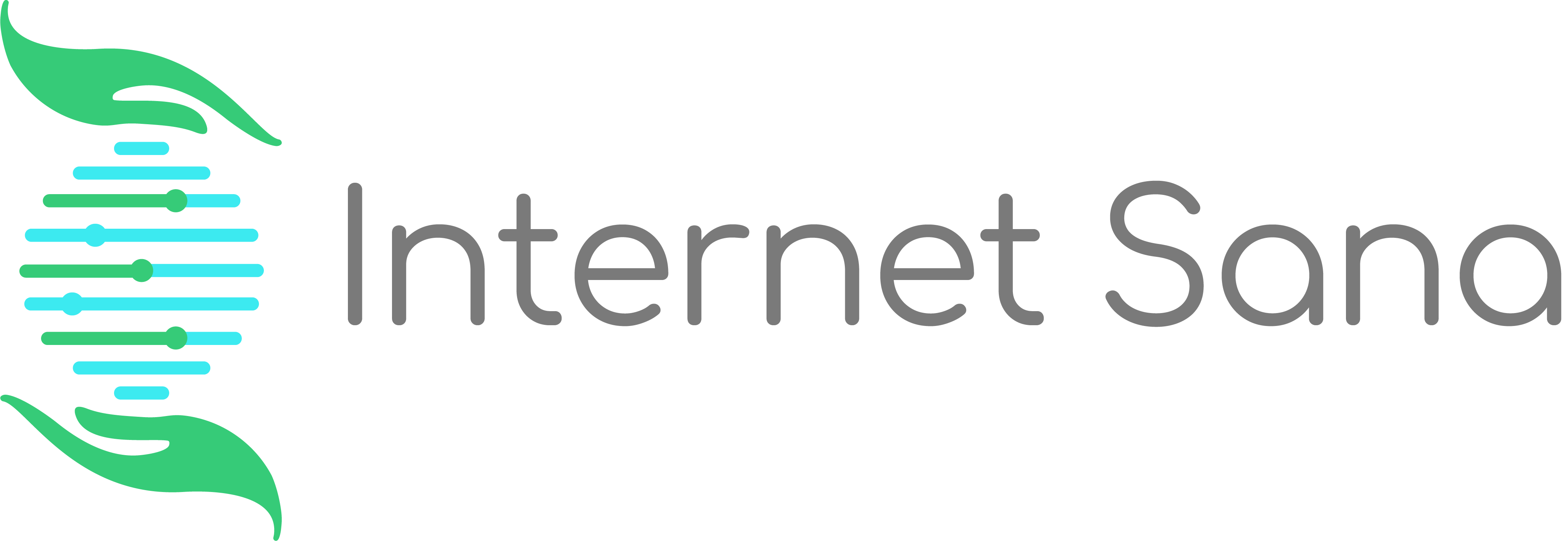 Internet Sana Logo